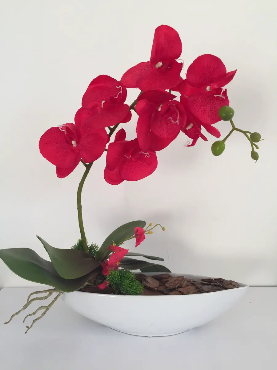 Orquídea Vermelha No Vaso Branco