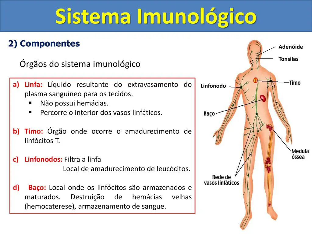 Sistema Imunológico