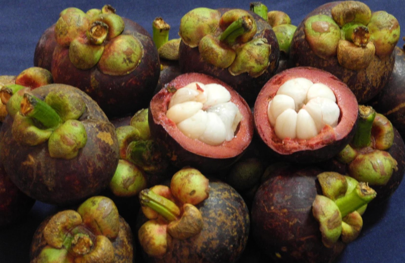 Cultivo e Safra do Mangostão no Brasil