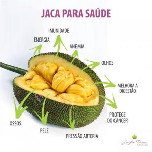 Jaca: Benefícios e Malefícios Para a Saúde | Mundo Ecologia