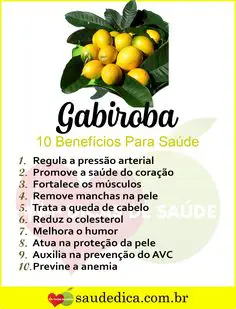 Benefícios Da Gabiroba 
