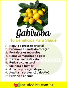 Benefícios Da Gabiroba 