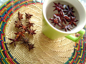 Estrela-do-Mar na Medicina