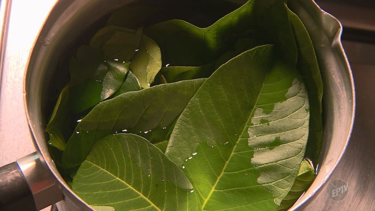 Fazendo Chá de Folhas de Araça 