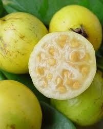 Fruta Araçá Boi