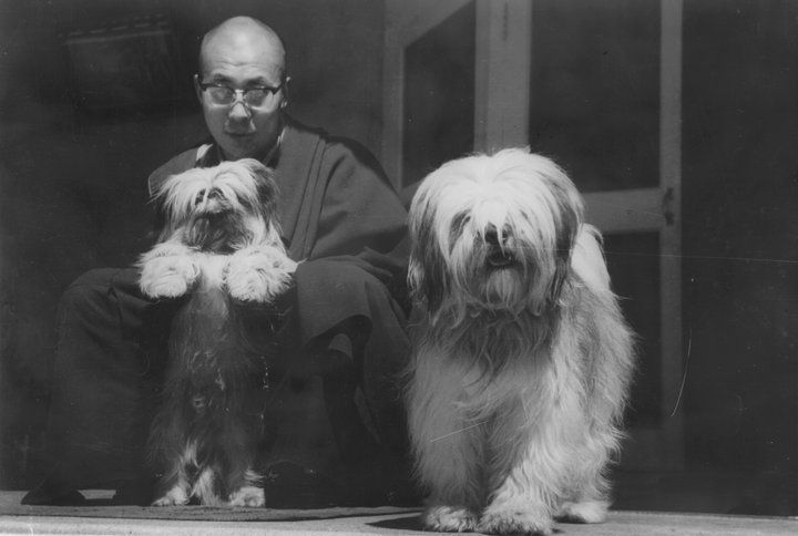 O Monge Dalai Lama e Dois Lhasa Apso