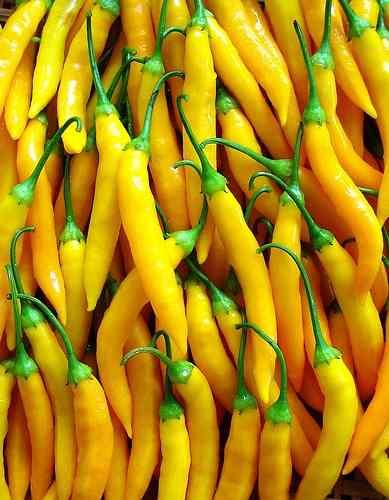 Pimenta-Dedo-De-Moça: Orígem, Doenças E Como Limpar