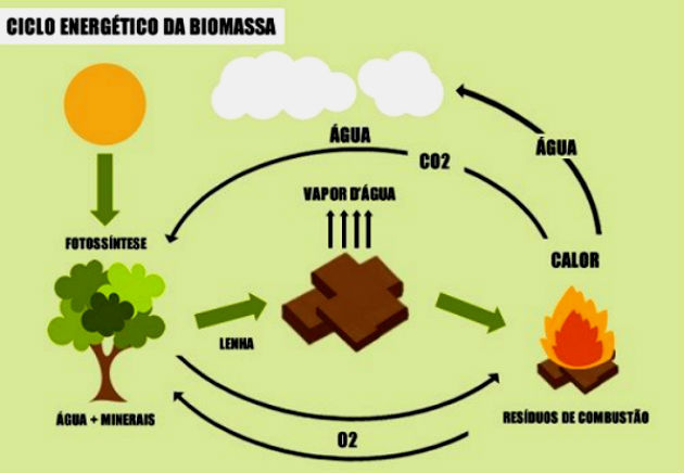 Produção De Biomassa