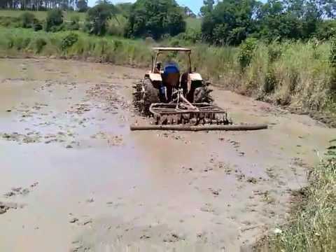 Semeadura de Arroz 