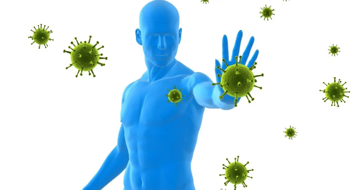 Imagem Ilustrativa do Sistema Imunológico