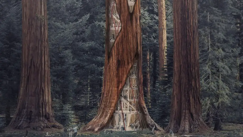 Três Sequoias Vermelhas 