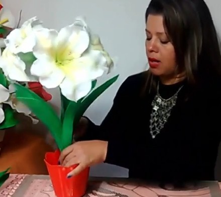Arranjo de Flor Amarílis Para Presente 