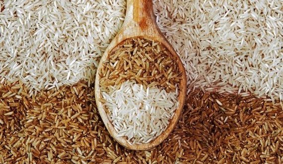 Diferencas Entre O Arroz Castanho E O Arroz Branco | Mundo Ecologia