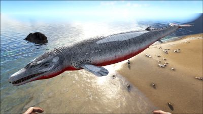 Basilosaurus