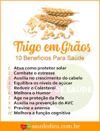 Benefícios do Trigo em Grão