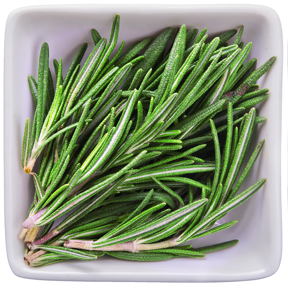 Розмарин специя. Розмарин вербенон. Зелень розмарин. Пряные травы розмарин. Трава елочкой приправа.