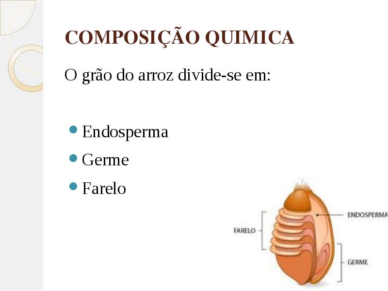 Composição Química do Arroz