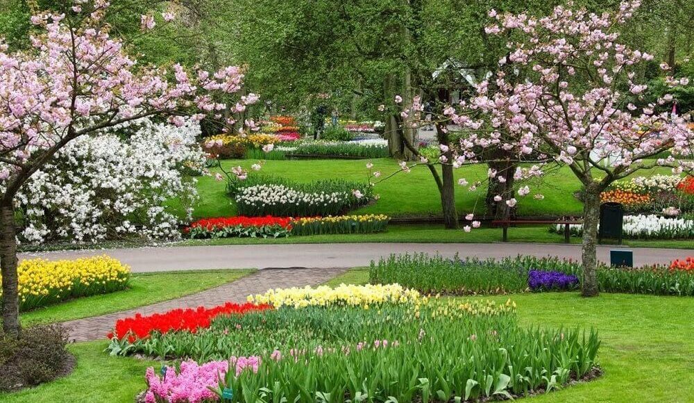 Jardim de Amarílis: Como Montar Um e Fotos de Belos Jardins