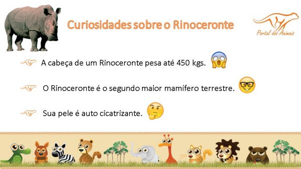 Curiosidades Do Rinoceronte