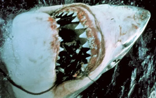 Dente do Tubarão 