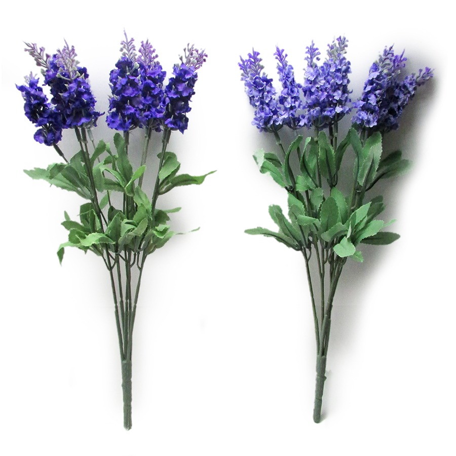 História de Flor de Lavanda e Sua Origem | Mundo Ecologia