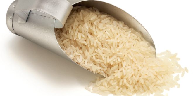 Qual a Composição do Arroz, e Vitaminas? E o Integral | Mundo Ecologia
