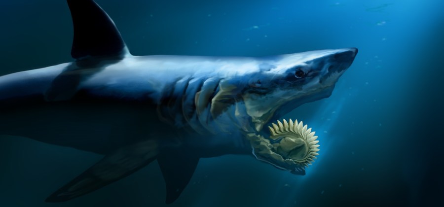 Ilustração de um Tubarão Helicoprion no Fundo do Mar