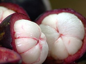 Calorias do Mangostão: Ele Faz Bem Pra Saúde?