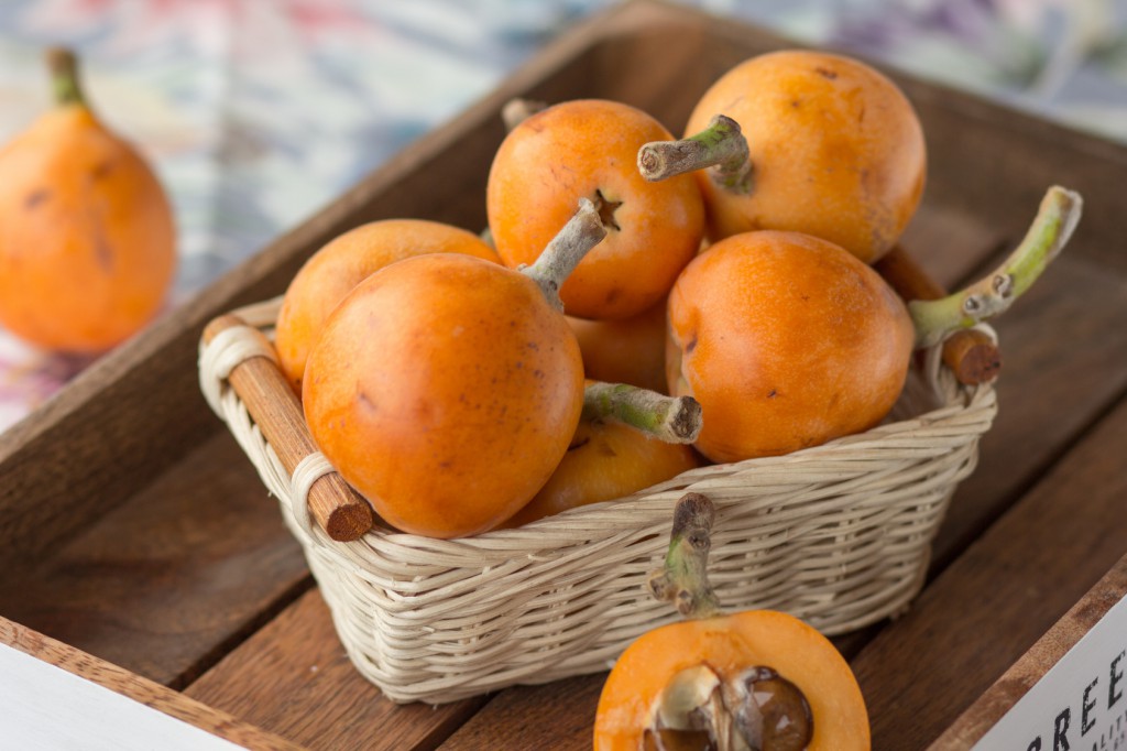 Nêspera Curiosidades e Fatos Interessantes Sobre a Fruta