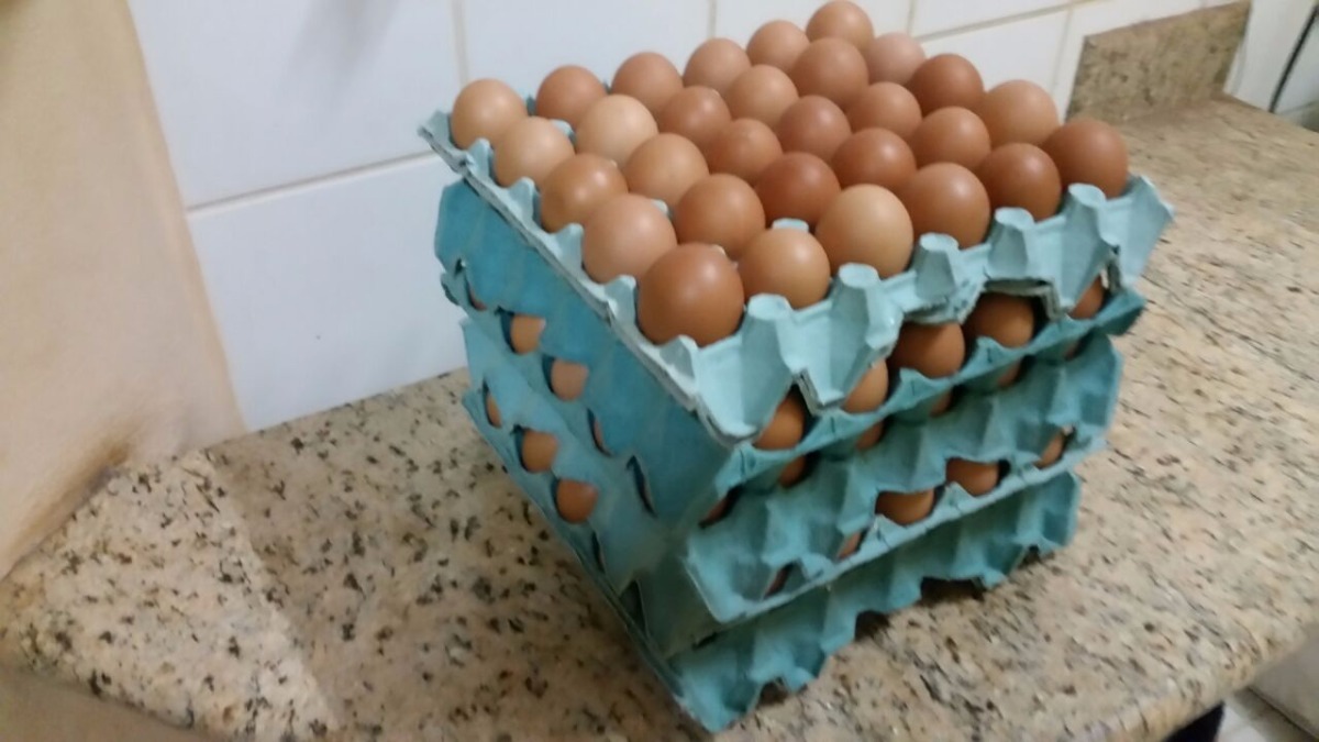 Ovos Da Galinha Carijó