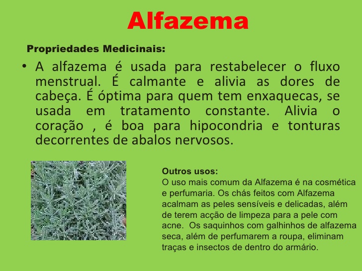 Propriedades Da Alfazema