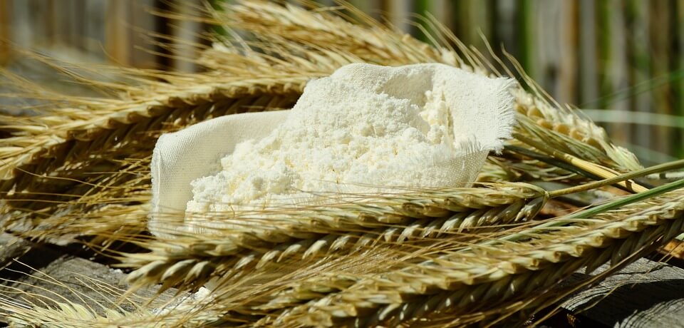 Como Aumentar a Proteína da Farinha de Trigo?