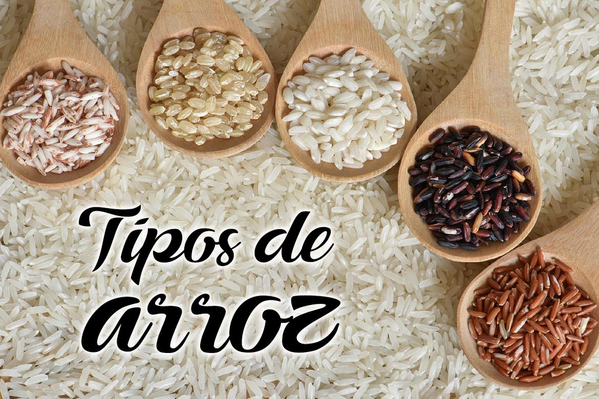 Tipo de Arroz 