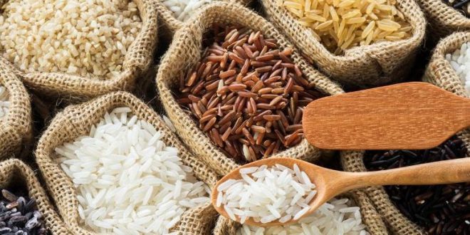 Tudo Sobre o Arroz: Características, Nome Científico e Fotos | Mundo ...