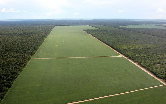 O Que é um Estabelecimento Rural? | Mundo Ecologia