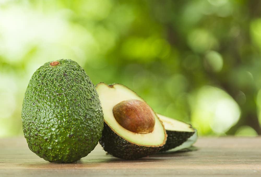 Abacate: Curiosidades e Fatos Interessantes Sobre a Fruta