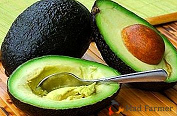História do Abacate e Origem da Fruta