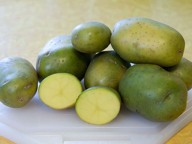 Batata Verde