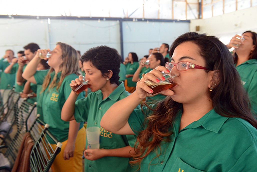 Bebendo Chá De Ayahuasca