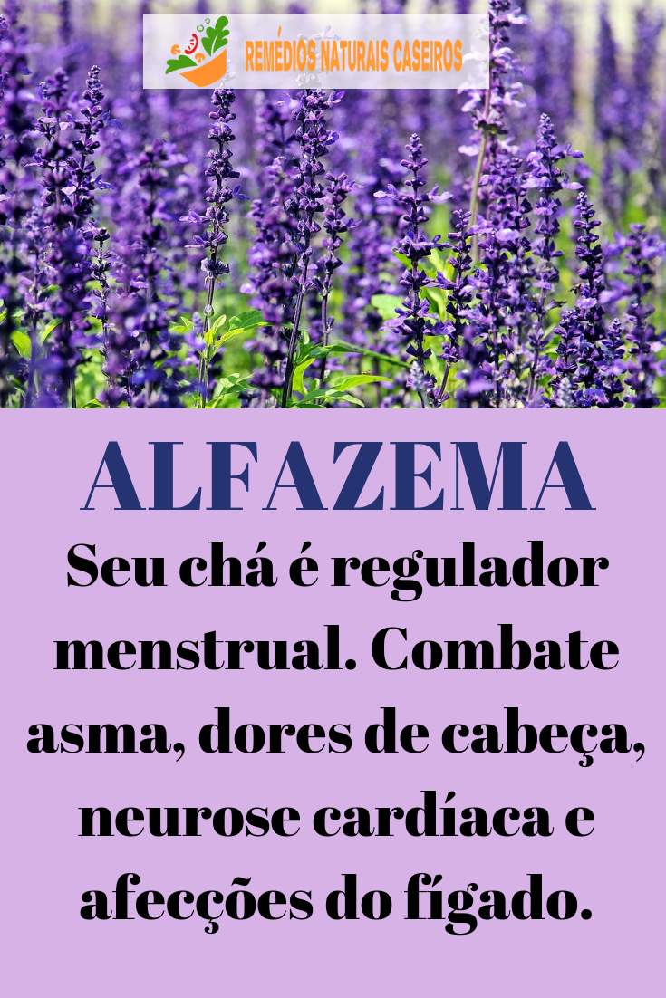 Benefícios da Alfazema