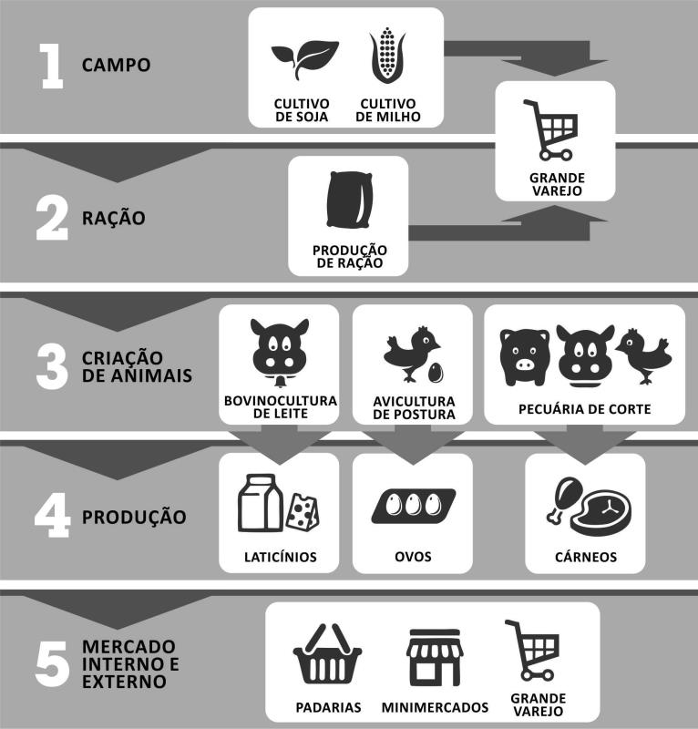 Cadeia De Produção Agropecuária