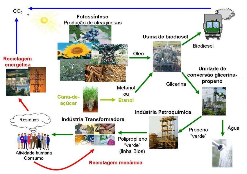 Cadeia Produtiva Sustentável