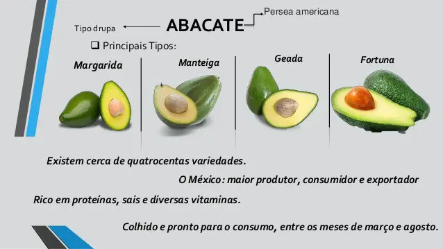 Características Do Abacate