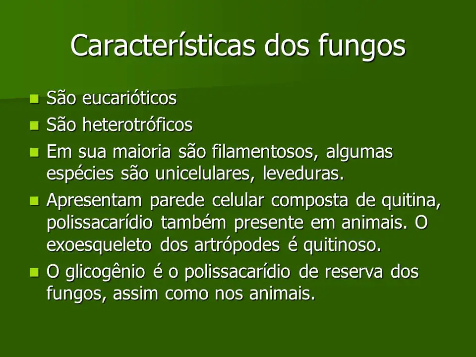 Características dos Fungos 