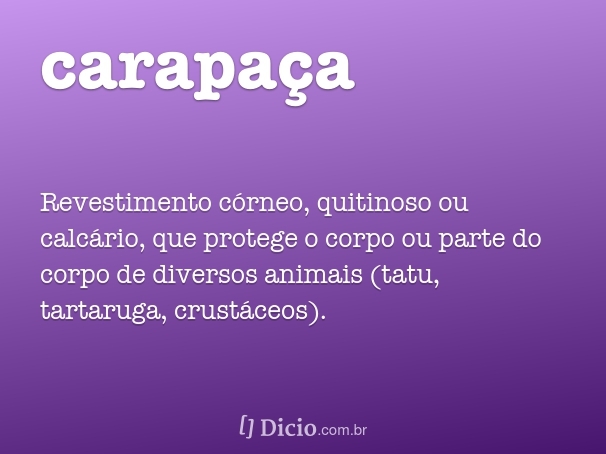 Carapaça