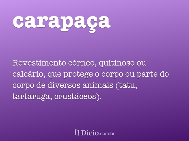 Carapaça 