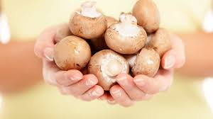 O Que É Um Champignon? Em Conserva, Comestível e Benefícios