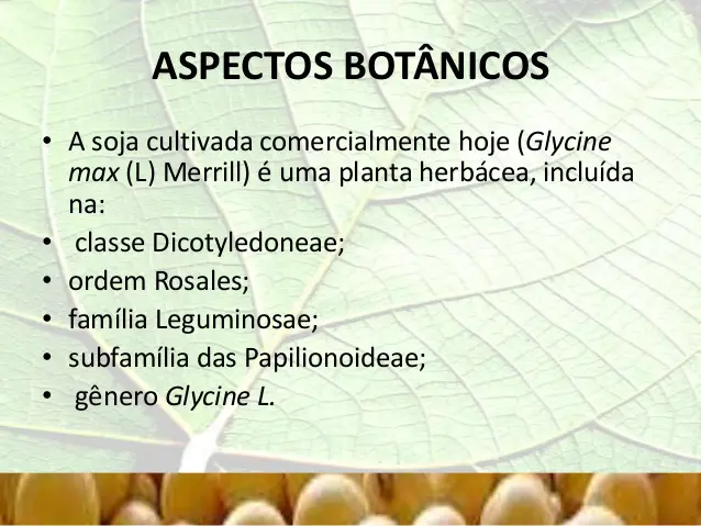 Classificação Botânica da Soja