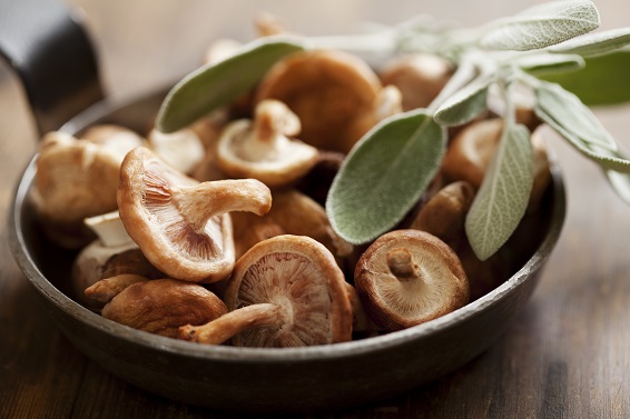 Quais os Benefícios do Cogumelo Shiitake?