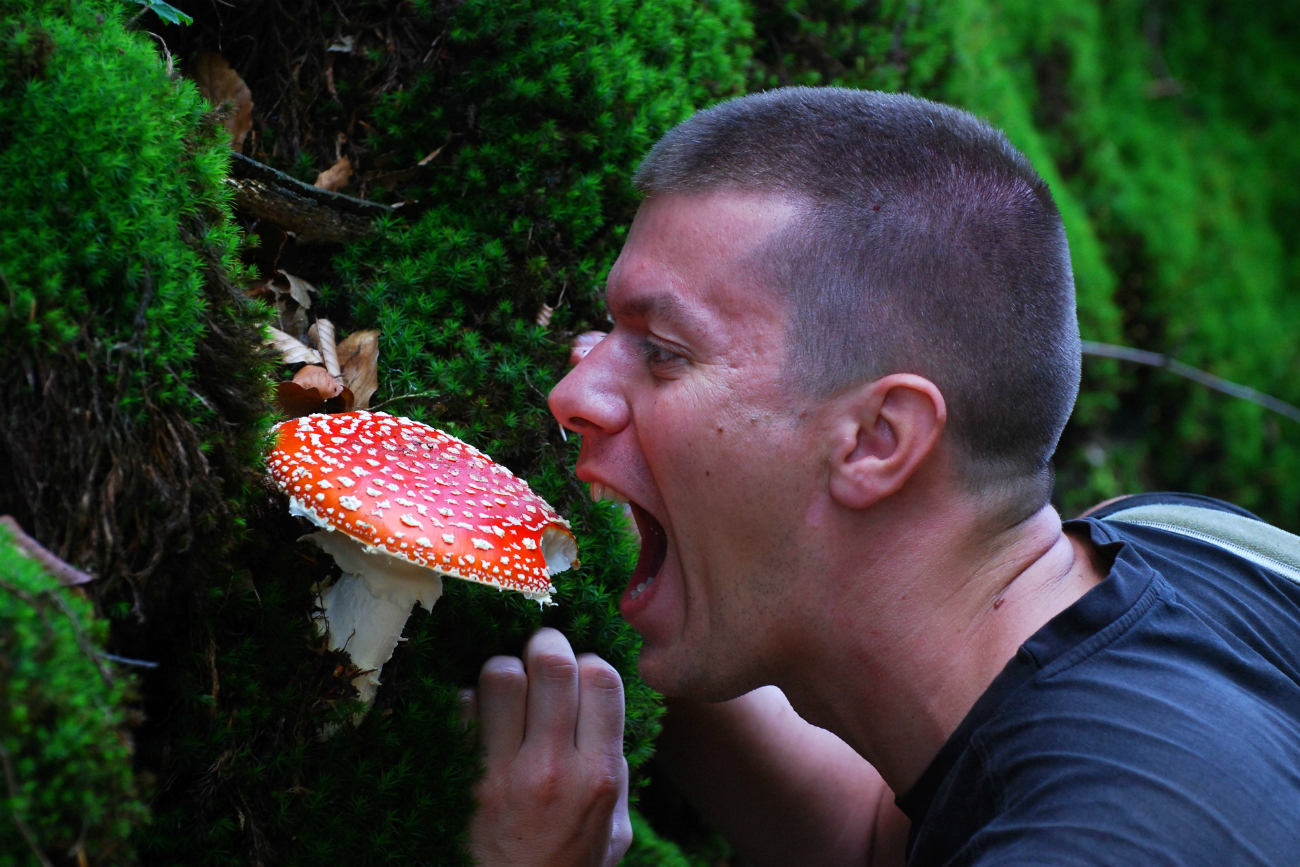 Comendo Cogumelo 